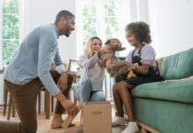 6 consejos para arrendar un departamento con mascotas mascotas