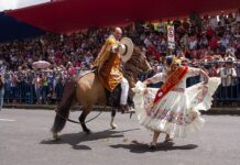 Cabalgata de caballos de paso en Quito para celebrar los 201 años de Independencia de Perú