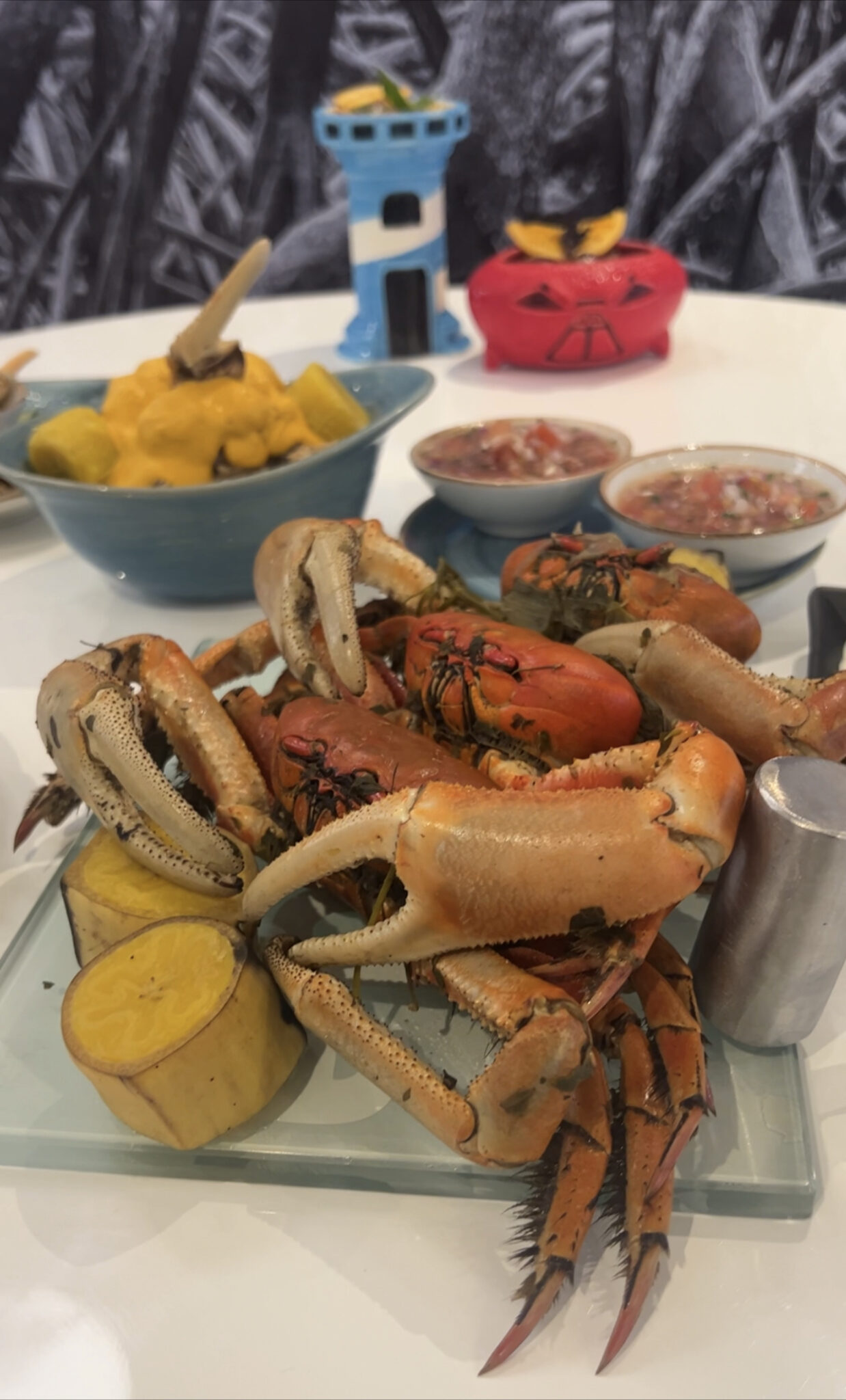 La Pata Gorda abre su segundo local en Quito Tuvoz.tv