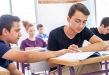 En Colombia podría ser obligatorio enseñar protección animal en los colegios