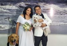 El Registro Civil de Ecuador realiza ceremonias pet friendly