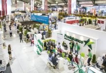 Asiste a la Feria Clave y encuentra la vivienda que necesitas