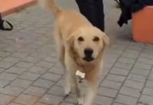 ¿Peludos del parque La Carolina sin un lugar para guardar su comida y cobijas?
