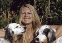 Fortuna de la actriz Brigitte Bardot podría donarse a Fundación de animales