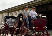 Cartagena elimina los carruajes con caballos
