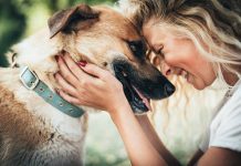 Se aprueba Ley de custodia compartida de peludos tras la separación de pareja