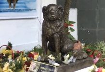 Peludos pueden ser enterrados junto a sus familias en Brasil