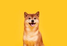 Jornada médica veterinaria gratuita en Guayaquil