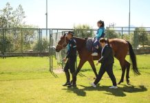 Terapia gratuitas con animales para personas con discapacidad