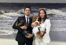 Registro Civil incorpora ceremonias Pet Friendly