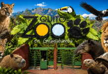 Ahora puedes apadrinar animales rescatados del Zoo de Quito
