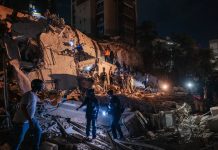 Tras terremoto en Venezuela, rescates de mascotas conmueven al país Equipos de rescate trabajan entre edificios colapsados tras los terremotos registrados en Caracas, Venezuela.