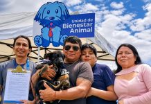 UBA activa brigadas de adopción en parques de Quito Perro rescatado junto a afiche de la Unidad de Bienestar Animal que anuncia brigadas de adopción en varios parques de Quito.