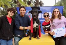 150 perros se graduaron en Quito con birrete y capa