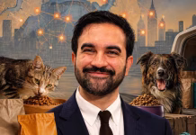 Comida gratis para perros y gatos en Nueva York